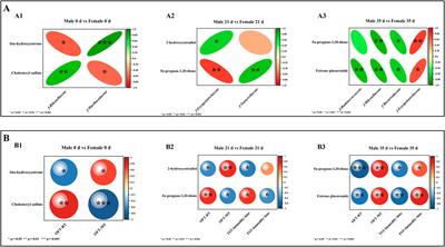 A study on the differences in the gut microbiota and metabolism between male and female mice in different stress periods